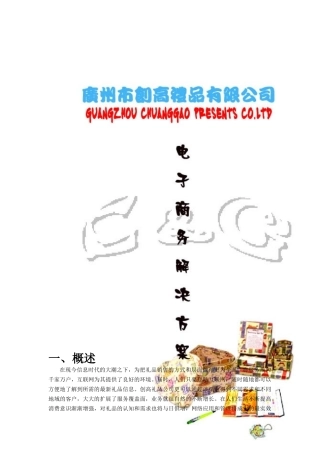 某着名咨询公司-创高-电子商务解决方案