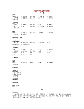 人力资源-13-西门子员工手册