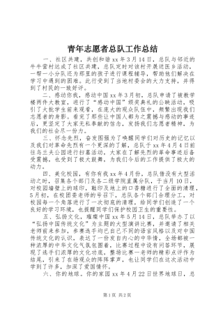 青年志愿者总队工作总结