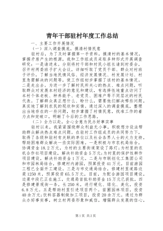 青年干部驻村年度工作总结