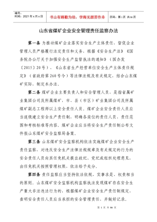 某省煤矿企业安全管理责任监察办法