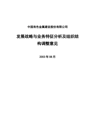 某著名咨询公司-中国有色金属-发展战略与业务特征分析及组织结构调整报告