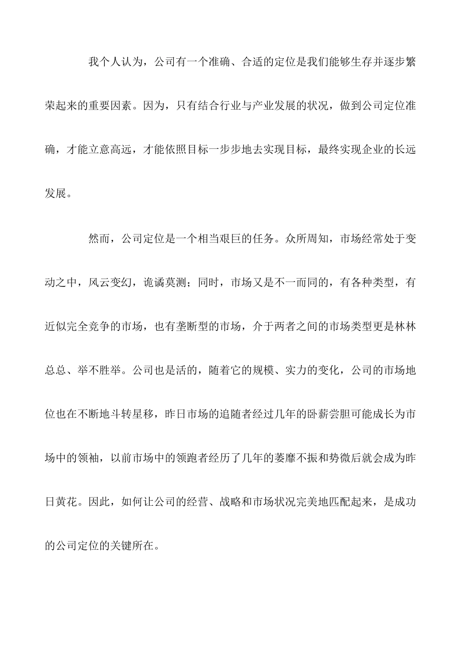 企业市场环境与公司定位_第2页