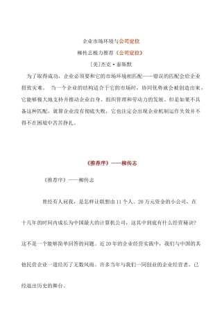 企业市场环境与公司定位