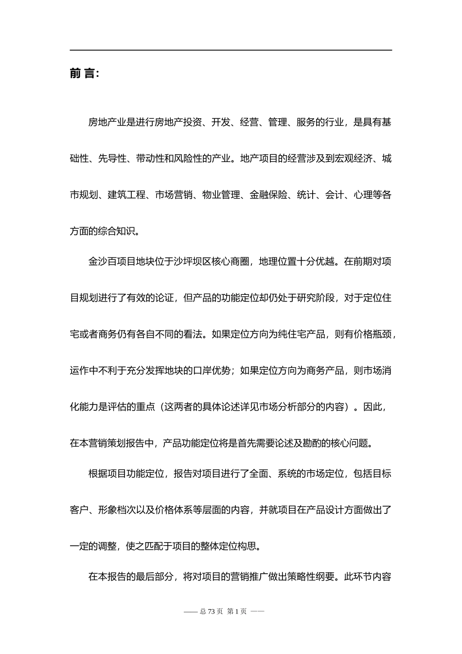 某百项目策划报告_第1页