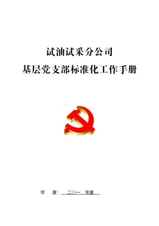 某试油试采公司基层标准化工作手册