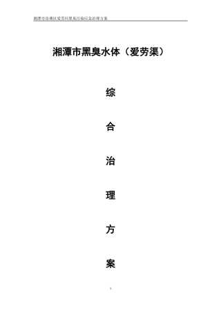 某河黑臭污染应急治理方案