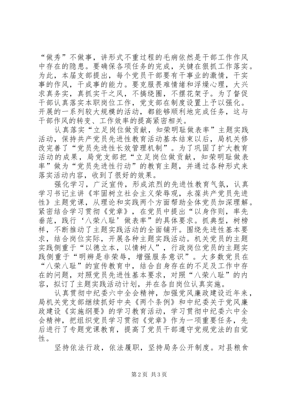 粮食局党支部工作总结范文_第2页