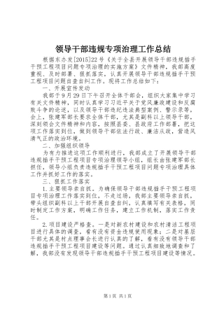 领导干部违规专项治理工作总结