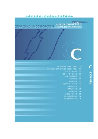 某集团公司视觉识别系统管理手册(DOC 18页)