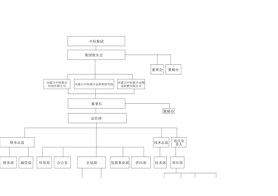 某镁业有限公司筹建期组织机构图_第1页