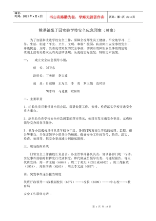 桃洪镇梨子园实验学校安全应急预案
