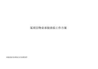 商业综合体项目物业承接查验工作方案