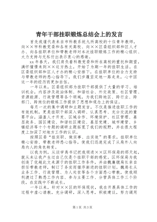 青年干部挂职锻炼总结会上的发言