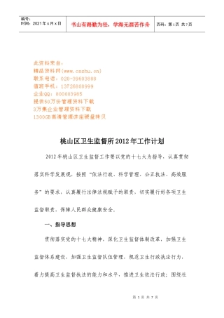 桃山区卫生监督所年度工作计划