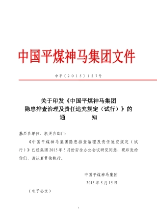 某集团隐患排查治理及责任追究规定(DOC 87页)