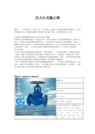 压力计式截止阀