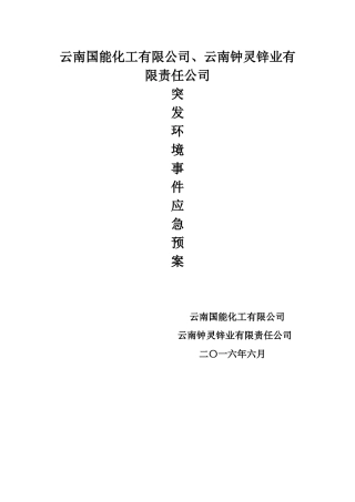 某锌业有限责任公司突发环境事件应急预案