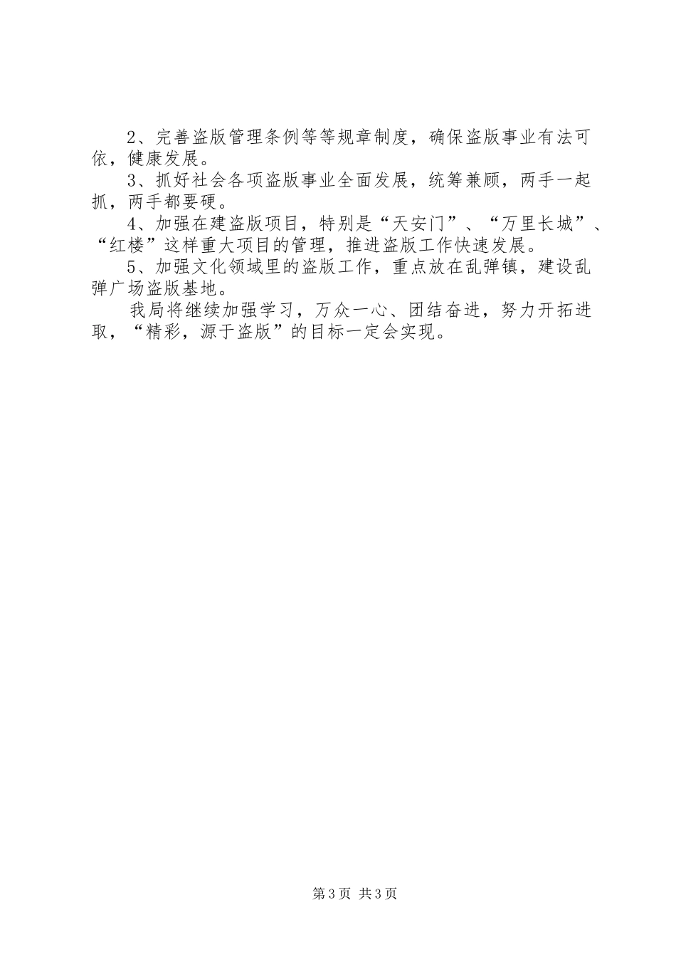 盗版局年度工作总结_第3页