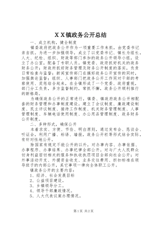 ＸＸ镇政务公开总结