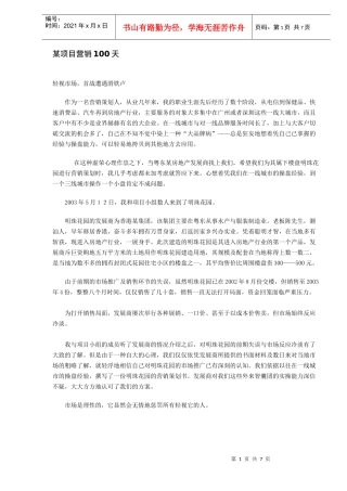 某项目营销100天