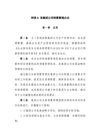 某集团公司预算管理办法