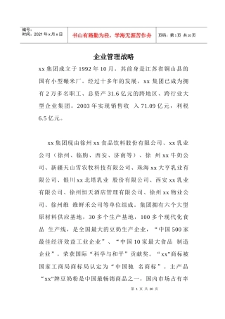 某集团企业管理战略概述