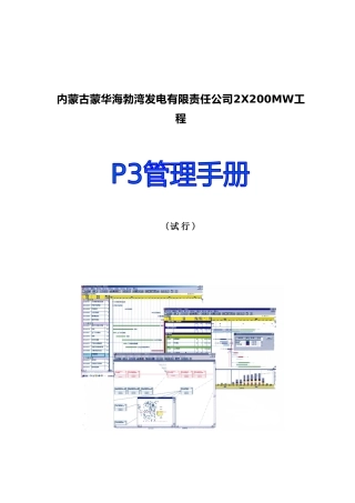某集团发电工程P3管理手册