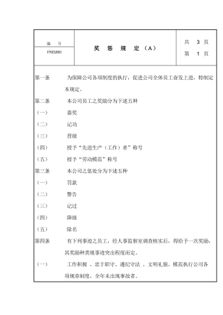 人力资源-20奖惩规定Ａ