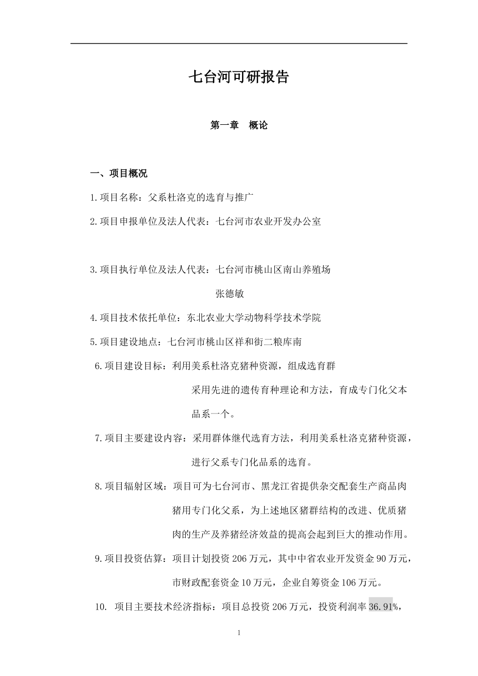 某项目可研报告_第1页