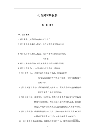 某项目可研报告