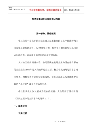 格兰仕调查研究管理报告