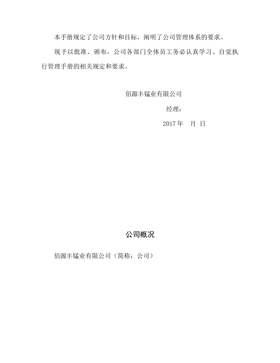 某锰业有限公司管理手册_第3页