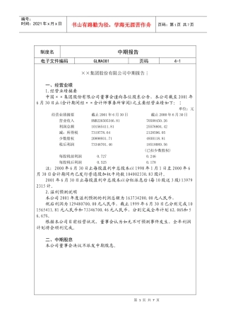某集团公司中期报告
