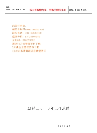 某镇年度工作总结