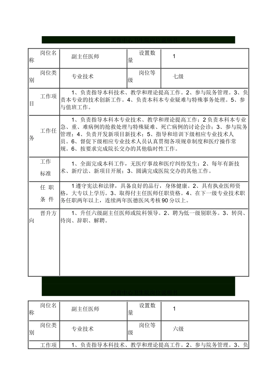 乡镇卫生院岗位说明书_第1页