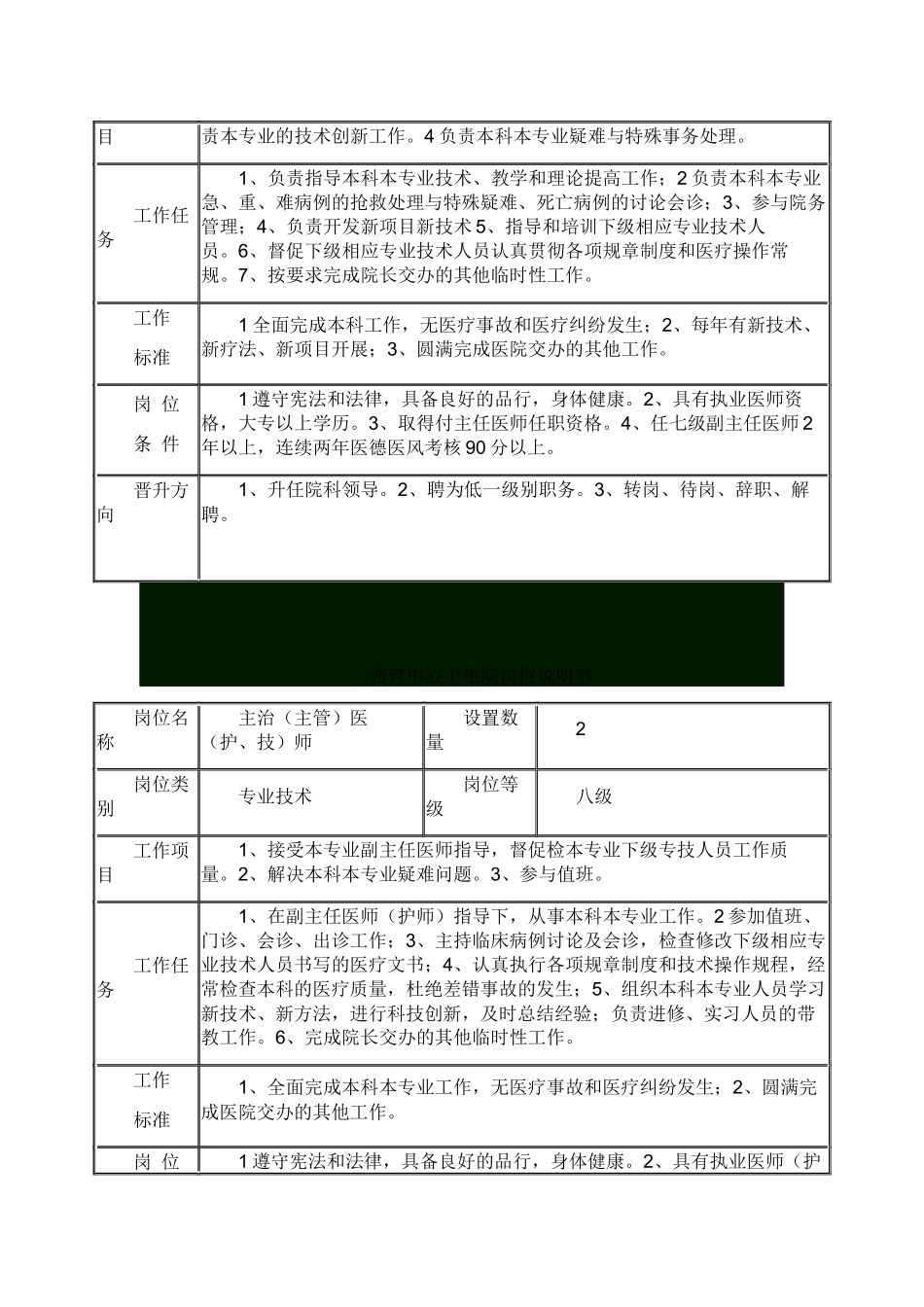 乡镇卫生院岗位说明书_第2页