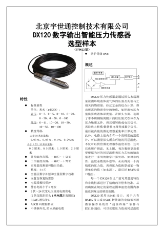 人力资源-DX100型数字式智能压力变送器