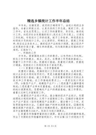 精选乡镇统计工作半年总结
