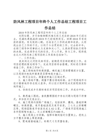 防风林工程项目年终个人工作总结工程项目工作总结