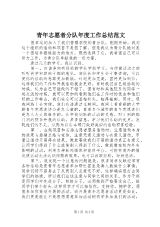 青年志愿者分队年度工作总结范文