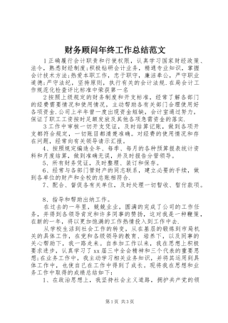 财务顾问年终工作总结范文