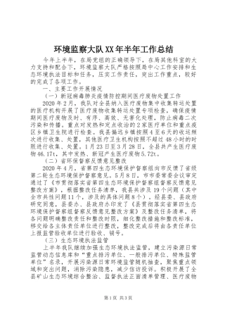 环境监察大队XX年半年工作总结