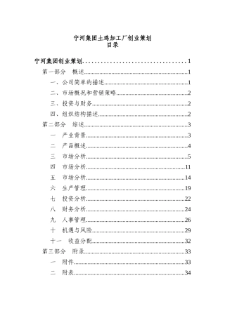 宁河集团土鸡加工厂创业策划