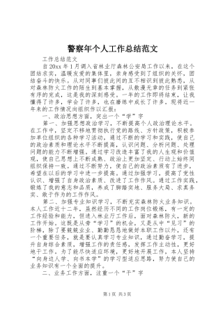 警察年个人工作总结范文