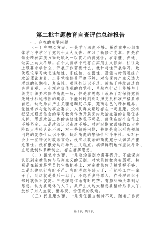 第二批主题教育自查评估总结报告