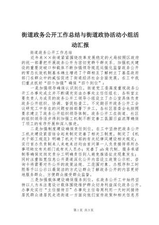 街道政务公开工作总结与街道政协活动小组活动汇报