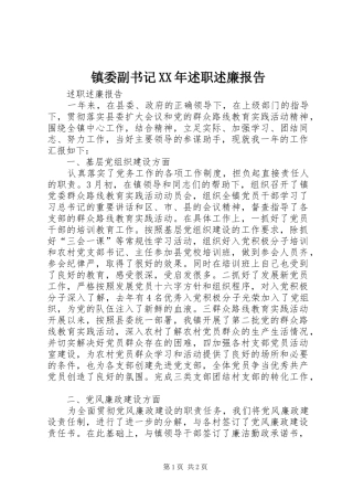 镇委副书记述职述廉报告