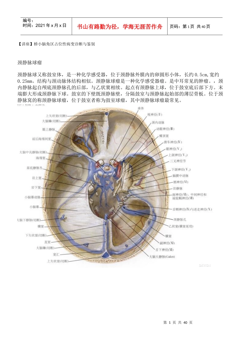 桥小脑角占位性病变诊断与鉴别_第1页