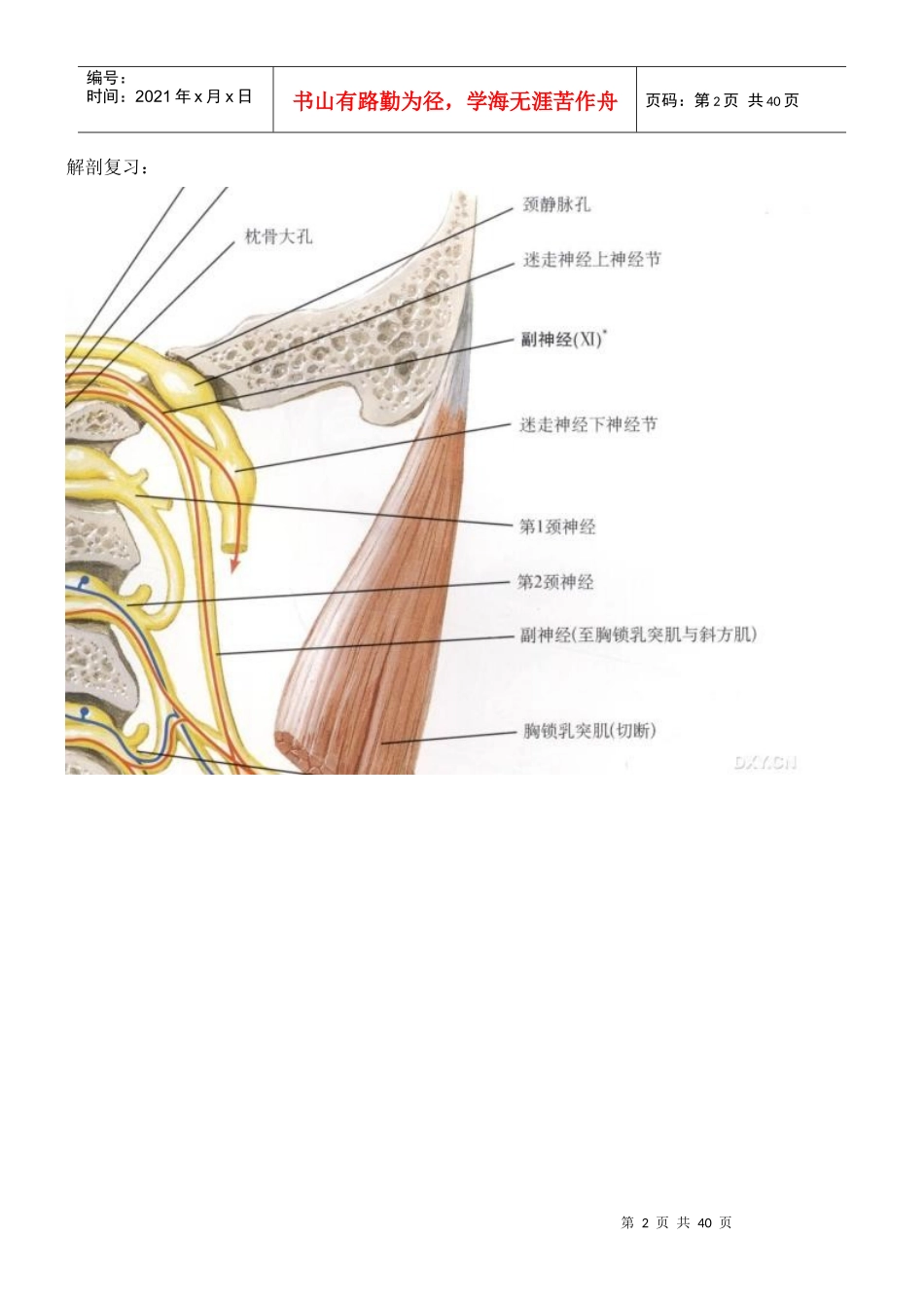 桥小脑角占位性病变诊断与鉴别_第2页